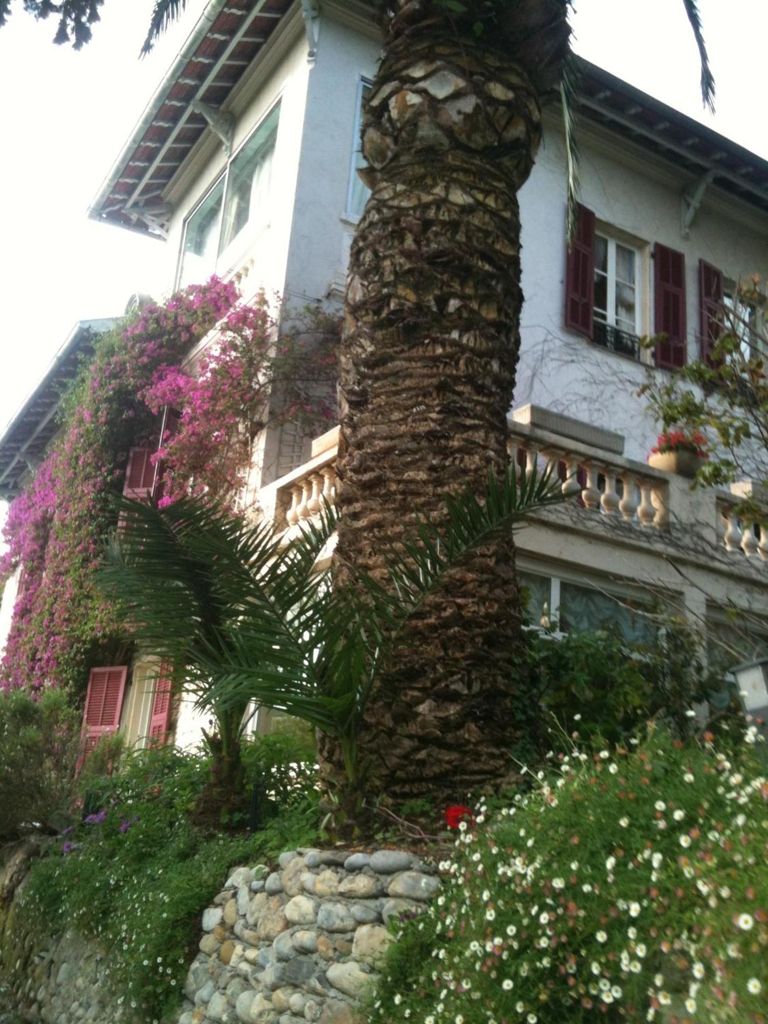 Castel Enchante Nizza
