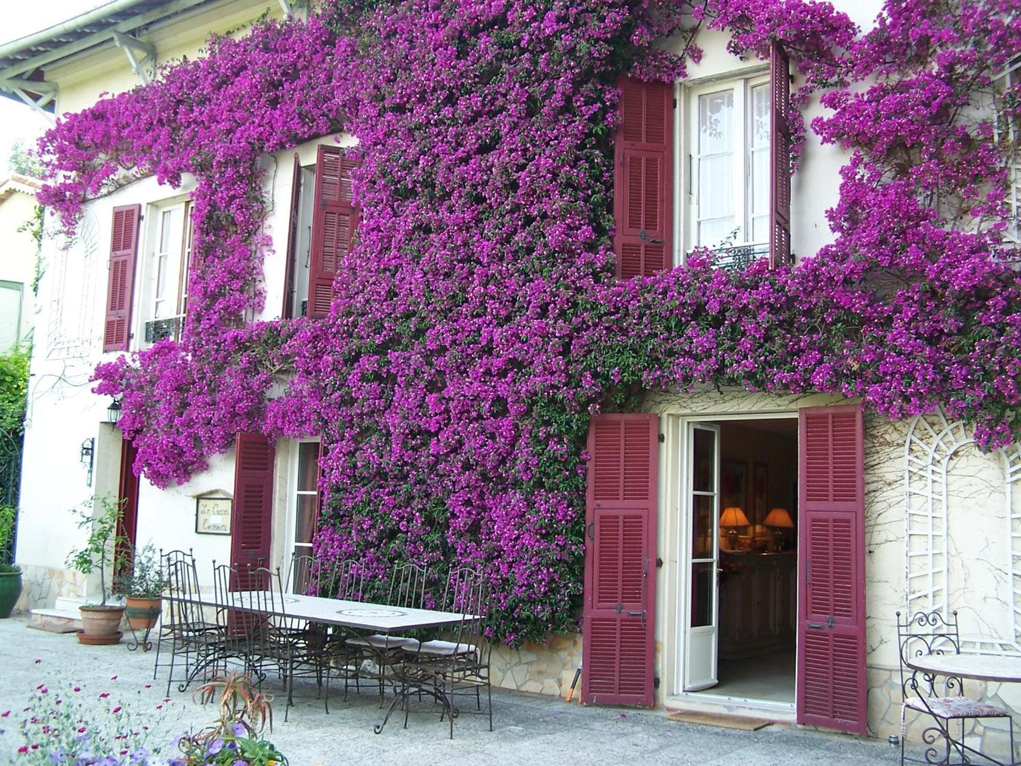 Castel Enchante Nizza