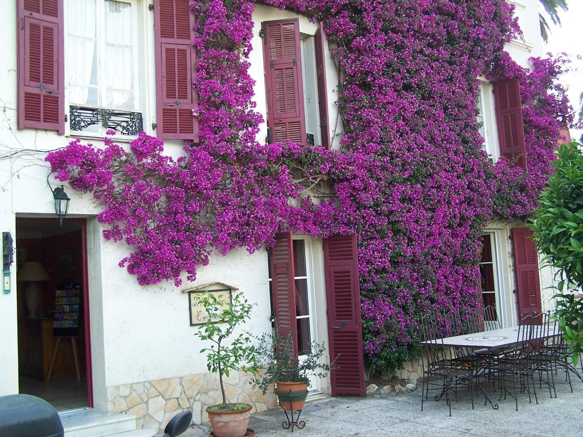 Castel Enchante